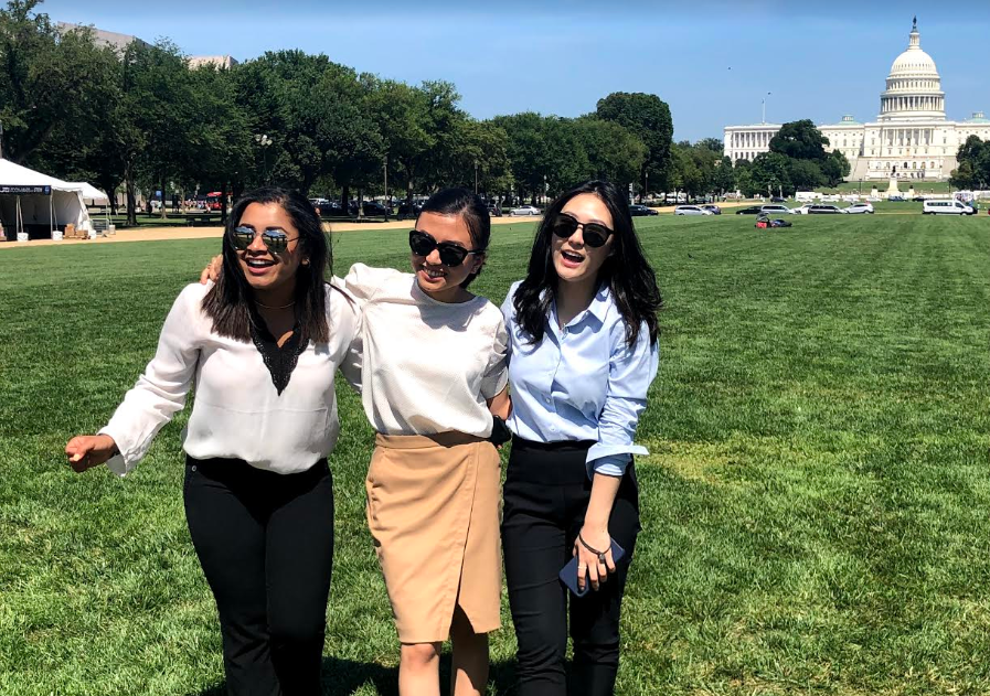 Fellows pose on the National Mall with the Capitol building in the background, August 2019. (Copy) (Copy)